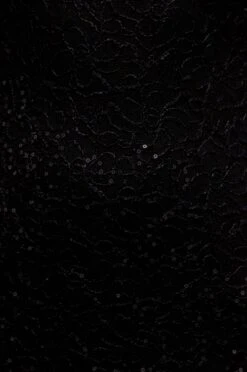 Abito Lungo In Pizzo E Paillettes Con Scollo Sulla Schiena - Nero -Negozio al dettaglio Alexoo 04 1 5