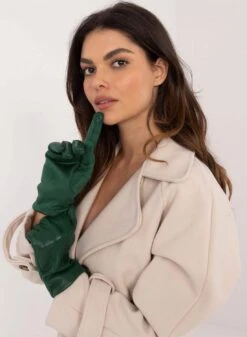 Guanti Verdi Con Interno In Caldo Velluto -Negozio al dettaglio Alexoo 5 d7e9c533 d6d3 40f0 9819 428fdf4e2d2b